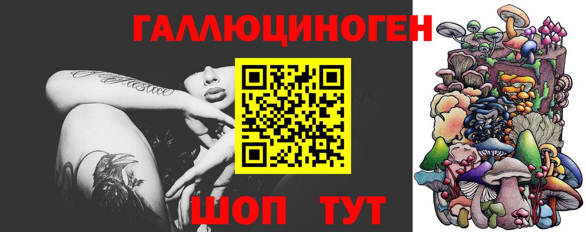 Псилоцибиновые грибы мухоморы Аргун