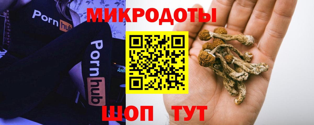 Аргун  Галлюциногенные грибы Psilocybe  Вход с VPN  хочу   Псилоцибиновые грибы GOLDEN TEACHER 